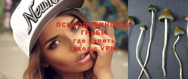 индика Нефтекумск
