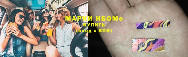 индика Нефтекумск