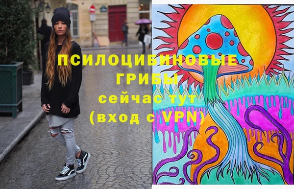 индика Нефтекумск