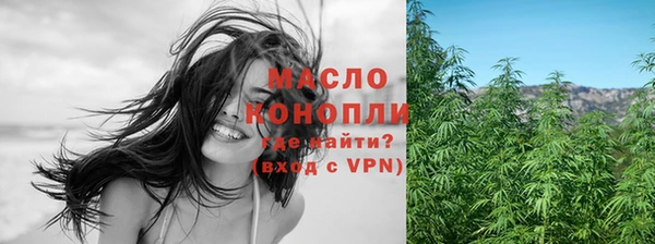 индика Нефтекумск