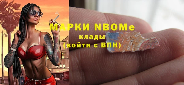 индика Нефтекумск