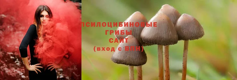 Псилоцибиновые грибы ЛСД Никольское